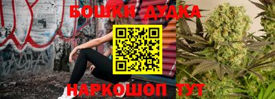 амф Гатчина
