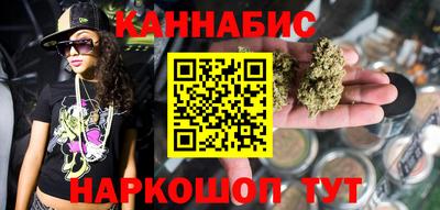 амф Гатчина