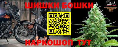 амф Гатчина