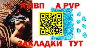 СК Гагарин
