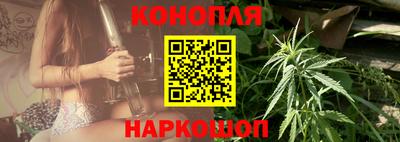 амф Гатчина