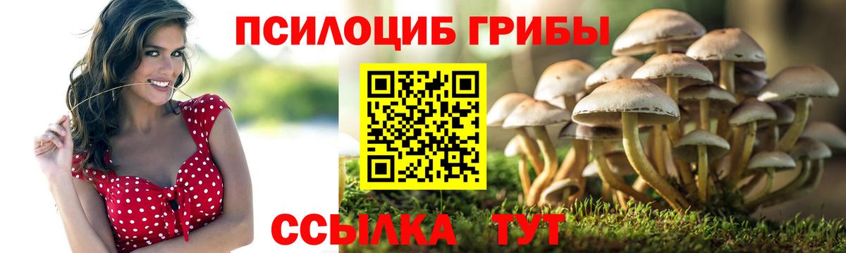 Псилоцибиновые грибы ЛСД  Галлюциногенные грибы Magic Shrooms  Вход с VPN  Надым 